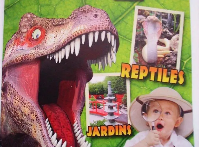 A Avec Jardin Spacieux * Breuillet (Charente-Maritime)