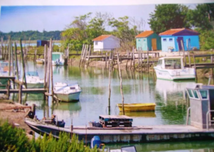 A Avec Jardin Spacieux Apartamento